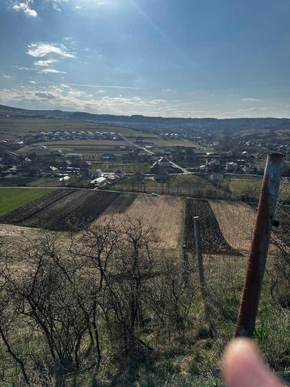 Teren extravilan 9000 mp Corusu, Baciu, drum, ideal investitie - 6