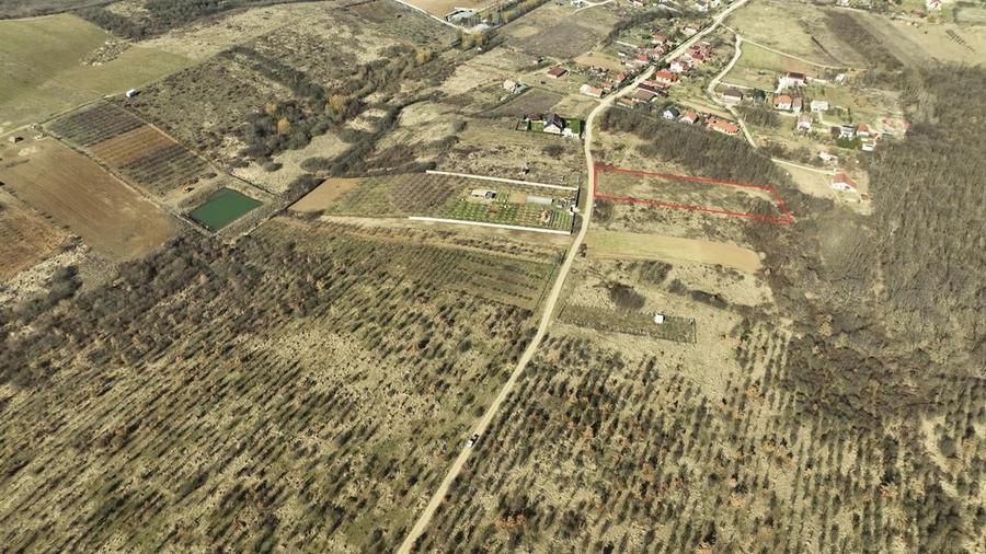 RECO Teren intravilan Paleu - 6