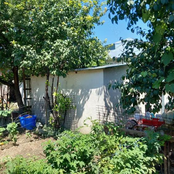 Casa batranesc de vanzare+teren - 5