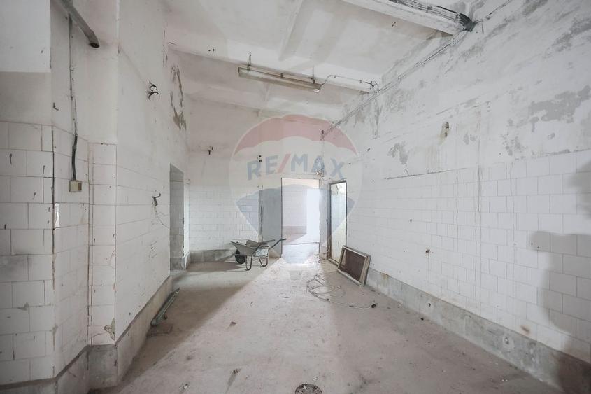 Teren 5674mp si constructii de vanzare, Tilecus - 8