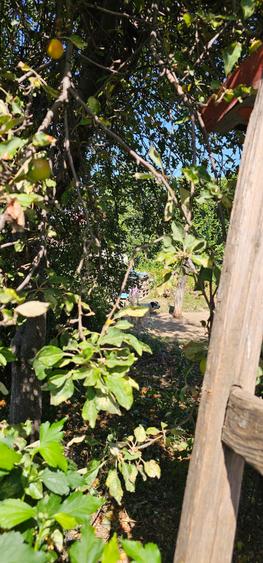 Oraș  Pantelimon-Ecaterina Teodoroiu, 754mp , casa veche locuibila - 8