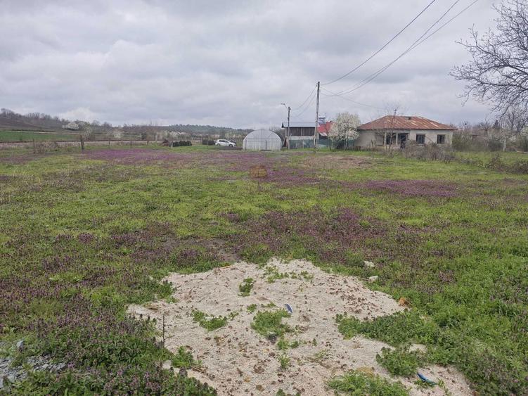 teren intravilan comuna daia - 3