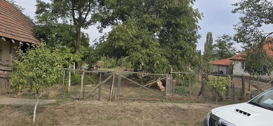 PROPRIETAR VAND 2 TERENURI intravilane - loc. CALACEA, Timis - 5