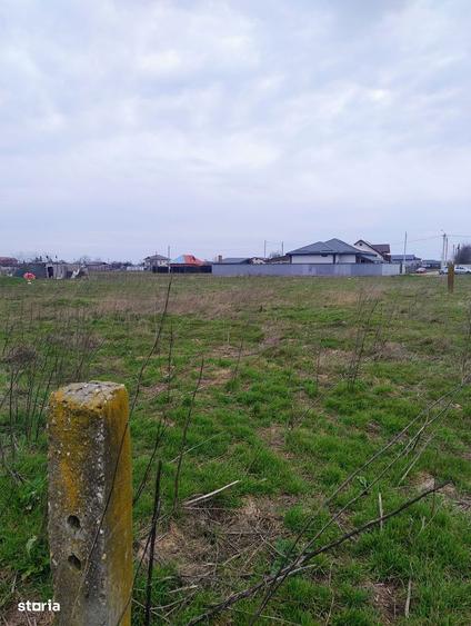 Teren vanzare Com. Fundeni, Jud. Calarasi - 2