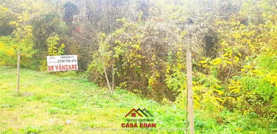 Teren intravilan in Campina--1722 mp--32e - 6