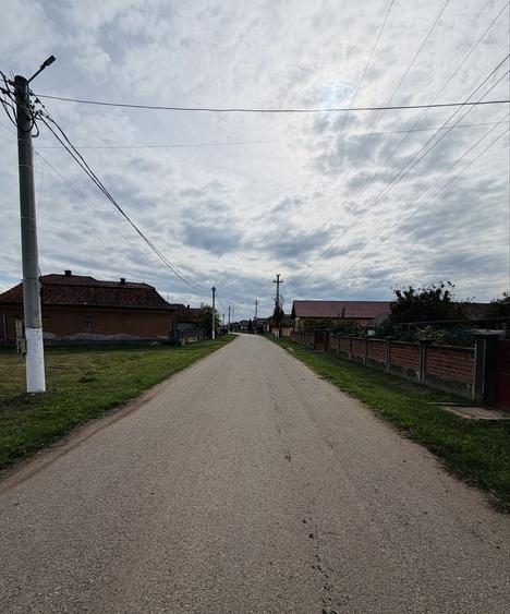 Casă cu 2 camere în Leorinț