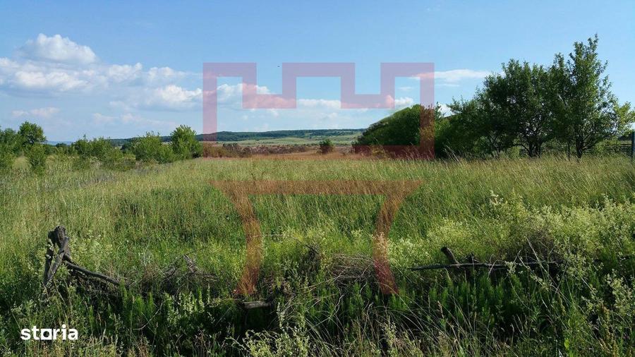 Parcela de teren Valea Fanatelor extravilan parcelat 525mp - 2