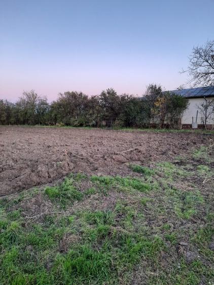 Teren intravilan Plataresti 1500 mp - 2