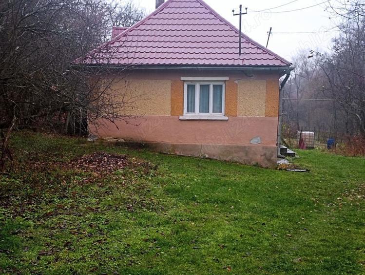 Vand casa+anexe gospodaresti+gradina+livada; Sat Luminisu, jud. Salaj - 5