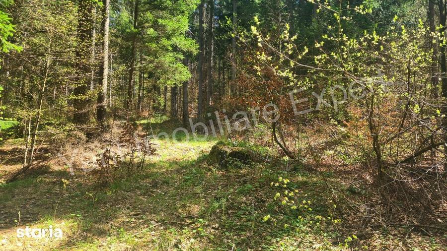 Teren de vanzare pe Valea Valsanului, judet Arge?. - 10