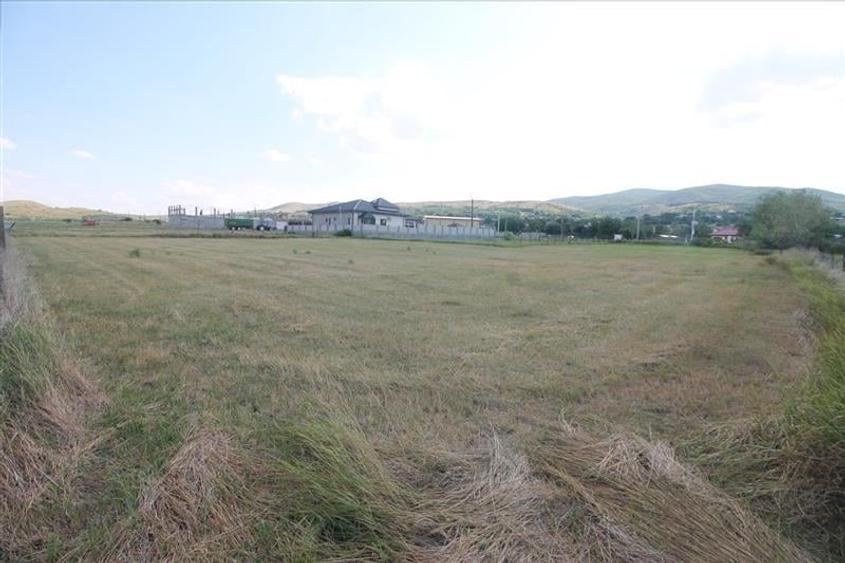 Teren 3000 mp intravilan - Sarata - 9