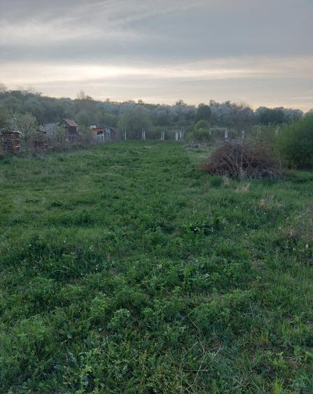 Teren intravilan, utilitati, CF, sat Sutu Ciurila - 6