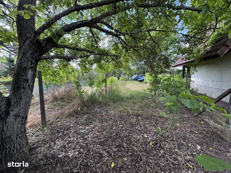 Teren intravilan / gradina cu cabanuta , zona Bercu Rosu - 4