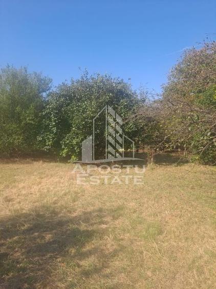 Casa individuala in Cruceni ,la granita cu Serbia - 6