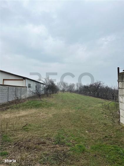 RECO Casa de vanzare in Livada - 4