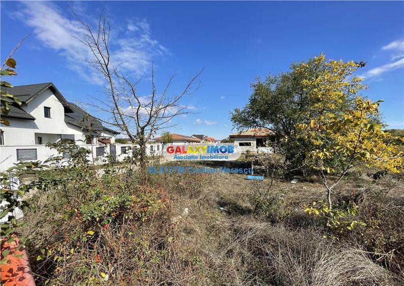 Gulia Tartasesti Str Samurcasi 482 mp deschidere 25 ml - 13