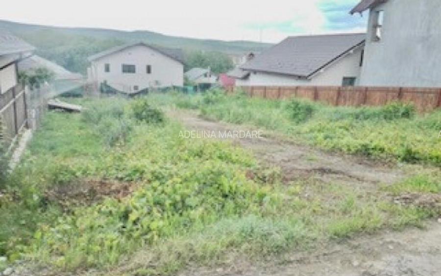 TEREN INTRAVILAN VASLUI