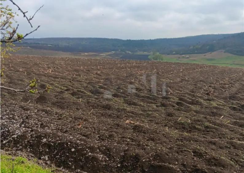 Aroneanu - Dorobant TEREN 46000mp PUZ realizat 59 de case la - 5