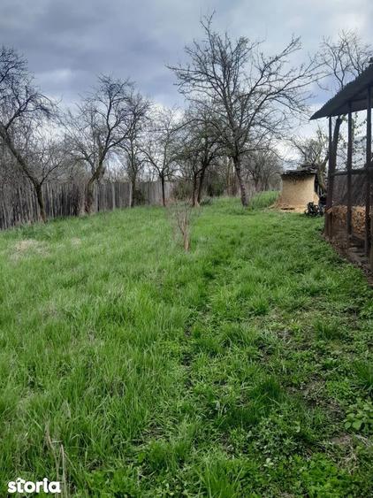 Teren de vanzare in Vaidei - 4