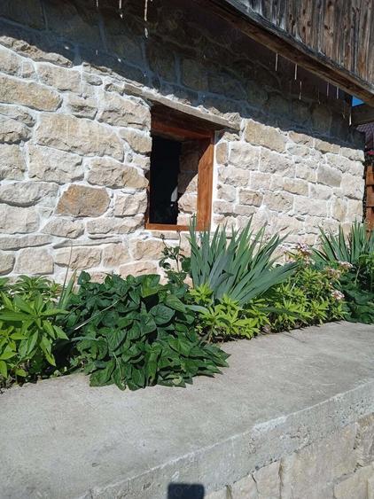 Casa de vanzare - 10