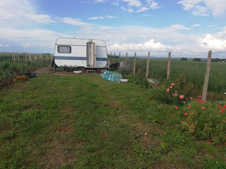 3,5 ha teren Vaculesti - 3