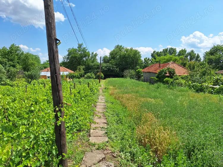 Teren cu casa de vanzare - 11