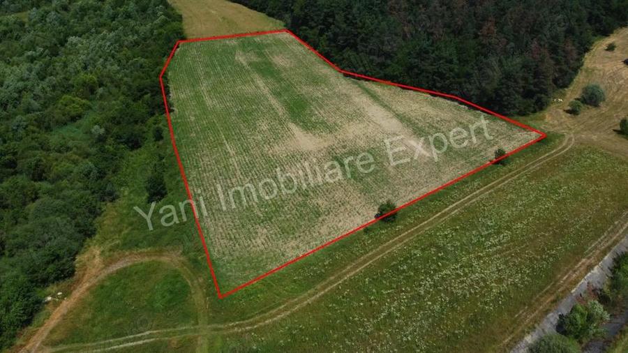 Teren de vanzare in comuna Baicule?ti, Judet Arge?. - 9