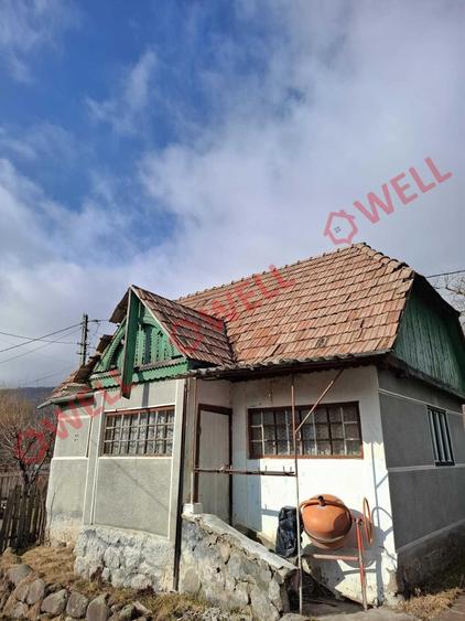 Case de vanzare in Campu Ceatati, pe acelasi teren! - 7