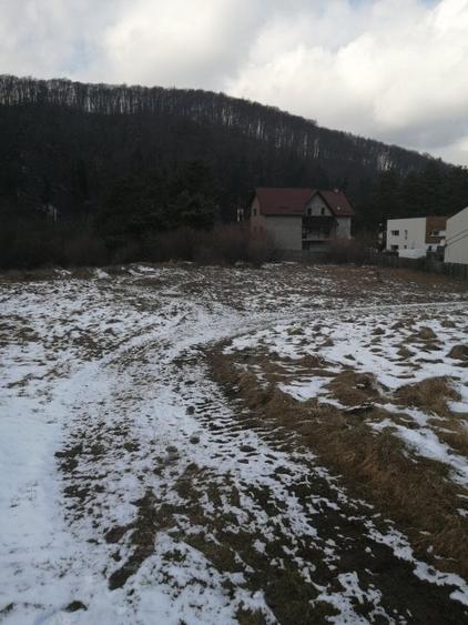 Teren de vanzare - 3