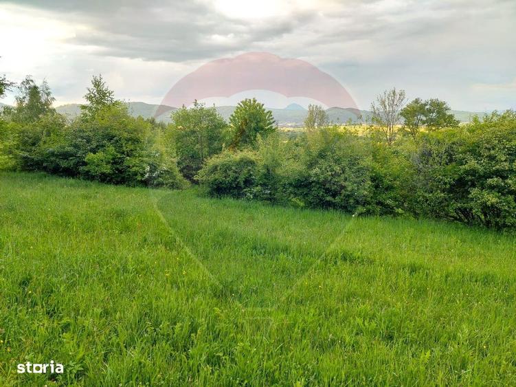 Teren Bran-Zarnesti - Tohanita, 4223mp - 6