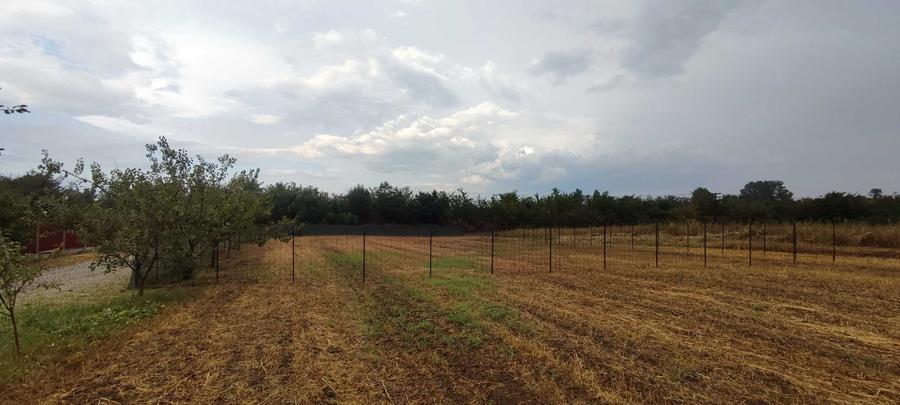 Oază de liniște și natură: Teren intravilan de 940 mp în Hemeiuș, Bacău - 9