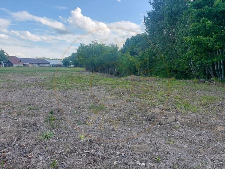 Teren intravilan 1843 mp - Cerbu/Albota/Arges - cu proiect de casa pe parter - 1