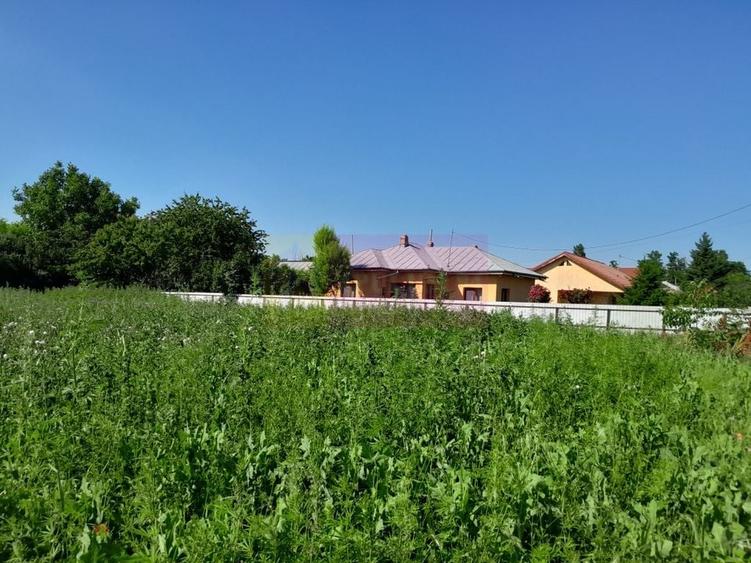 Movilita (IL)-teren de inch. 1800 mp stradal, 30 ml desch, langa Profi - 9