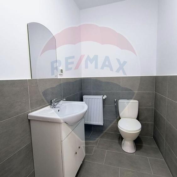 Hale noi de inchiriat Domnesti - putere instalata pana la 600kva - 5