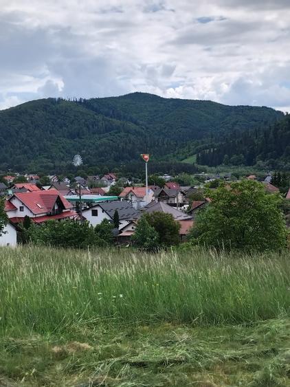 Vând lot pentru casă  sau cabană  - 6