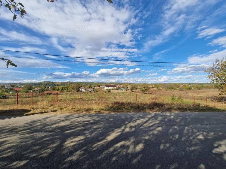 Teren de 5000 mp, în Vrancea