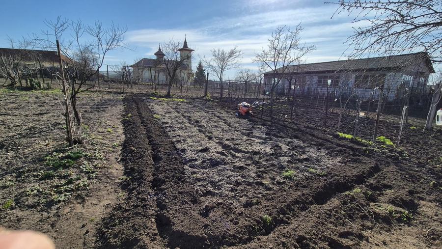 Casă individuală cu 4 camere cu Canalizare în Tărtăria
