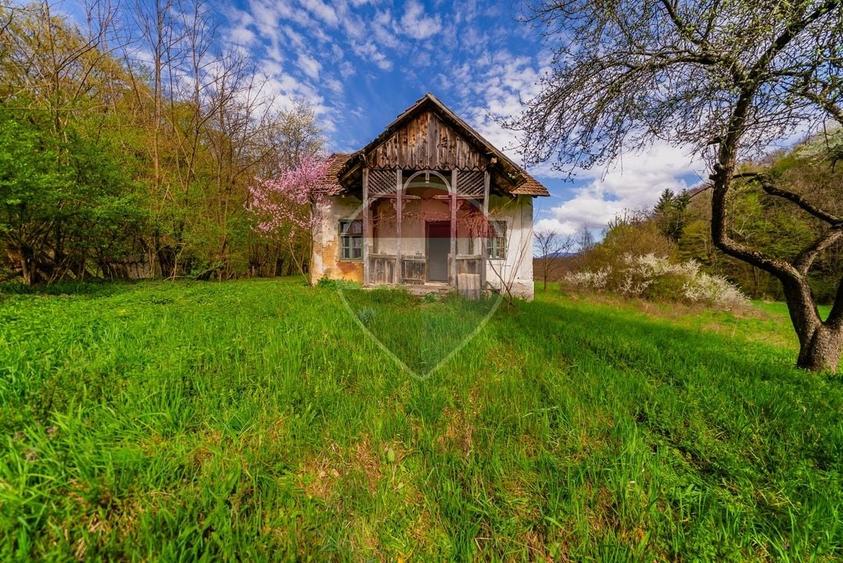 Casă individuală cu 4 camere cu Teren 5000 Mp în Cărand