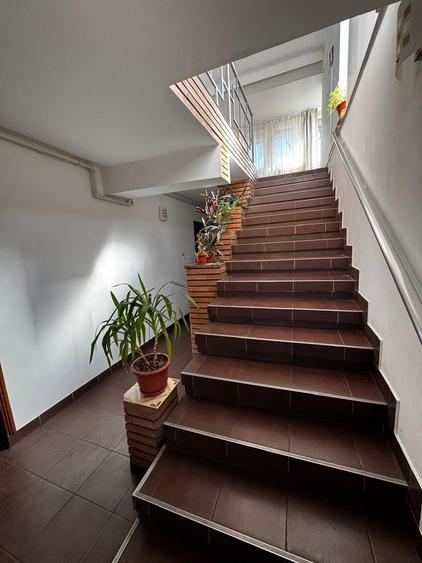 Casă individuală cu 6 camere cu Canalizare în Delfinariu