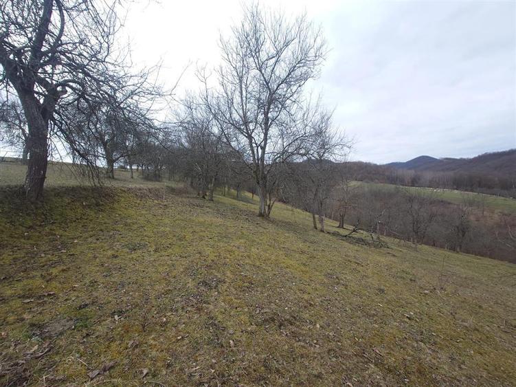 Teren intravilan de 11423 mp, în Luncoiu de Jos