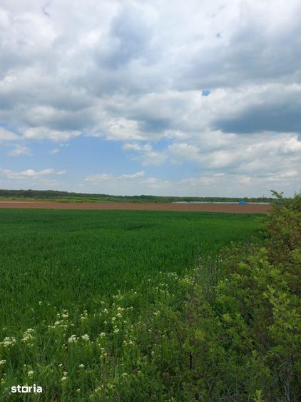 Teren de 35000 mp, în Periș