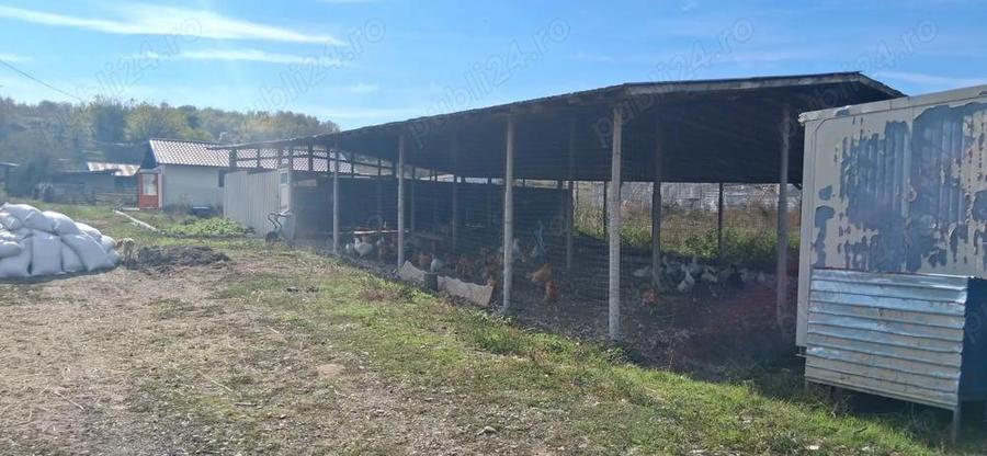 Ferma de vanzare , zona Dambu - 6