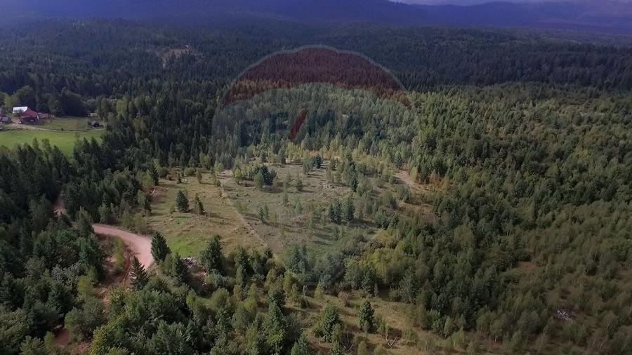 Teren extravilan parcelabil Călățele Pădure, zona Dealu Negru - 12