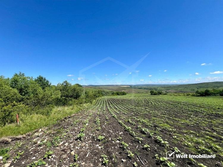 Oportunitate investitie, Chinteni, zona Macicas 31.600 MP - 1