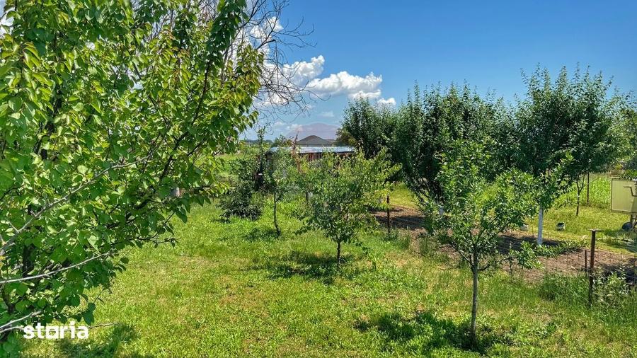 Casa batraneasca cu 3 camere-Oportunitate de Investi?ie in Domnesti - 6