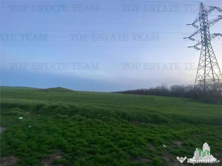 Teren intravilan 15000 mp Costinesti, Constanta - 4