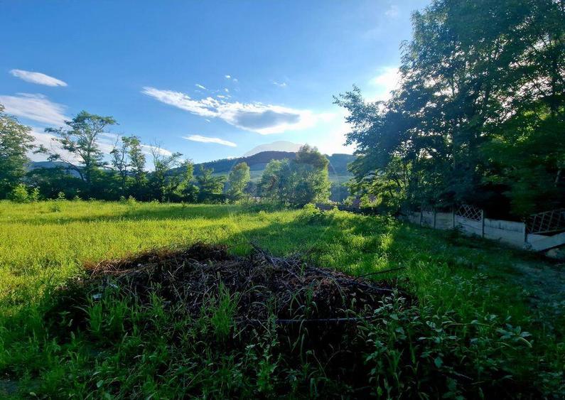 Teren 1,749mp Piatra-Neamt / Strada Zambilelor - 2