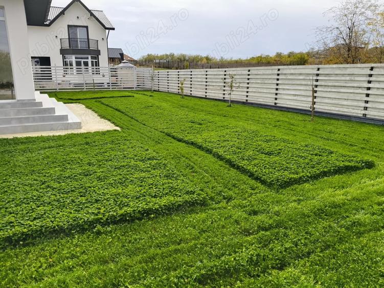 Casa superba Peri? Balteni Ilfov - 4