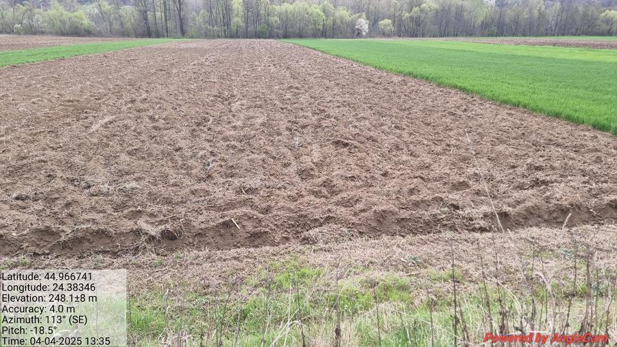 Teren si casa+ anexe de vânzare  - 8