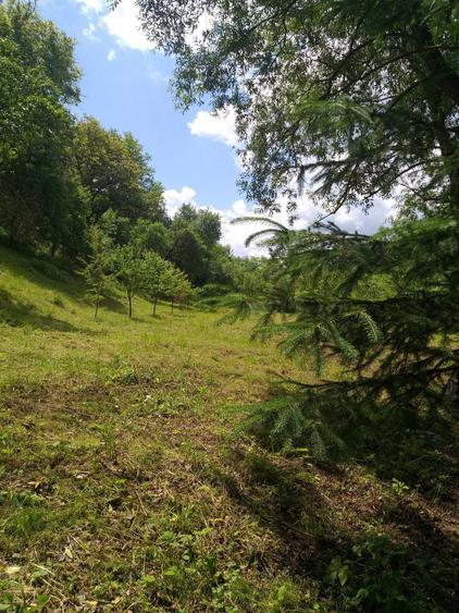 Teren de vanzare - 4